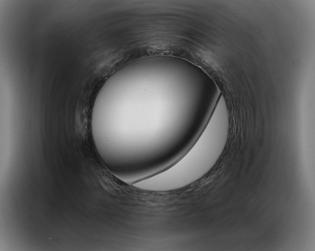 X0000087340868200704201144
