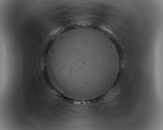 X0000087340869200704201144