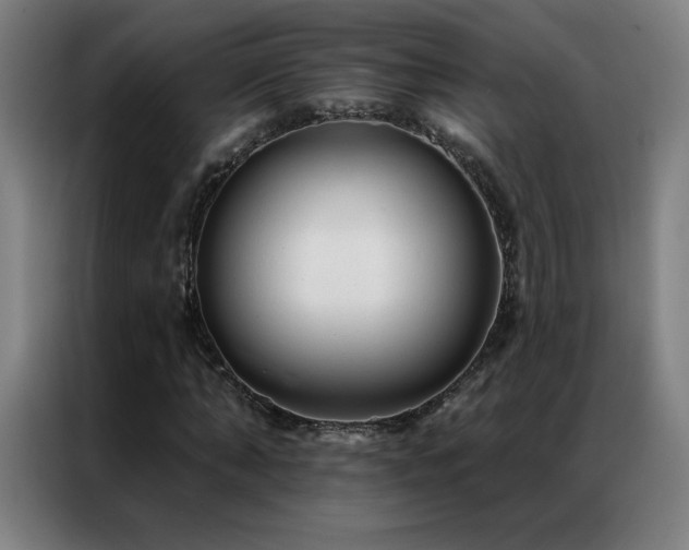 X0000087340870200704201144