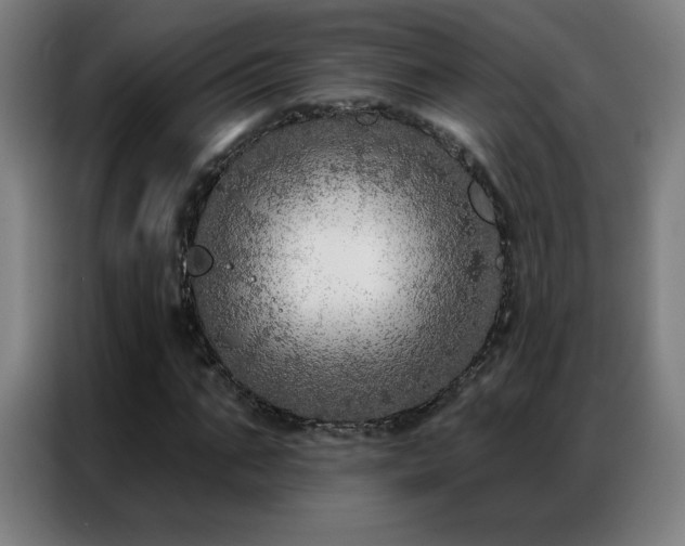 X0000087340871200704201143