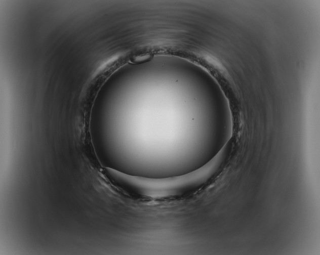 X0000087340872200704201143