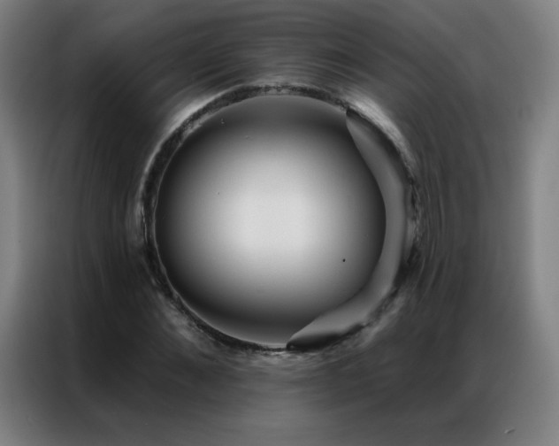 X0000087340876200704201143