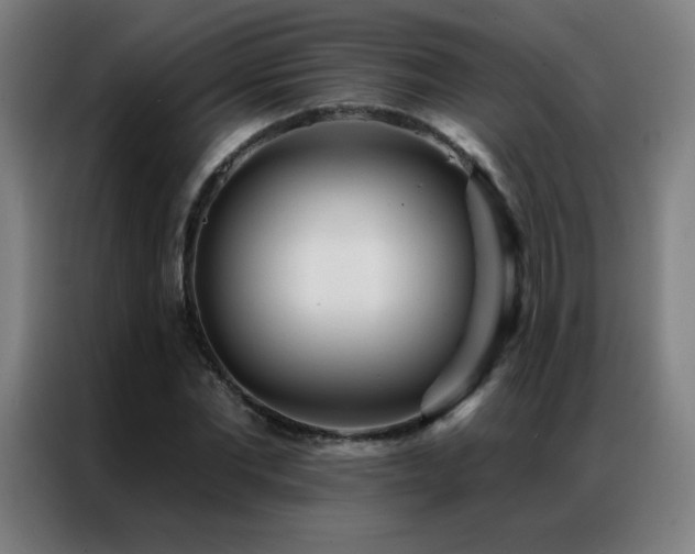 X0000087340877200704201143
