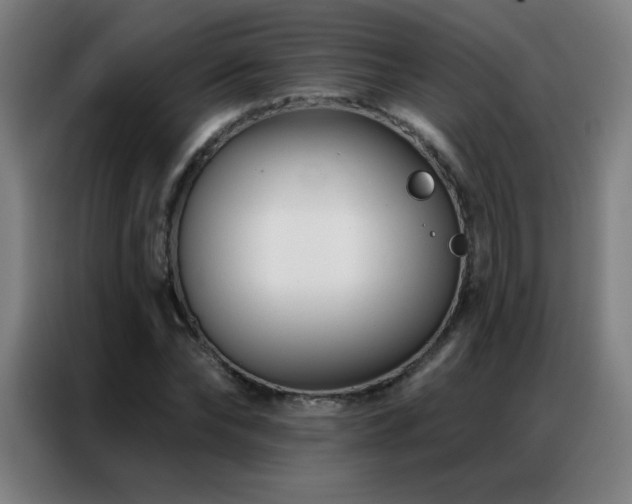 X0000087340878200704201143