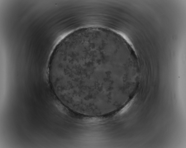 X0000087340879200704201143