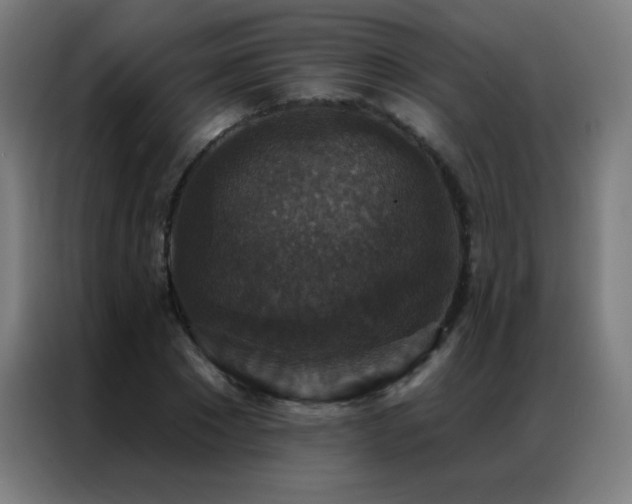 X0000087340881200704201143