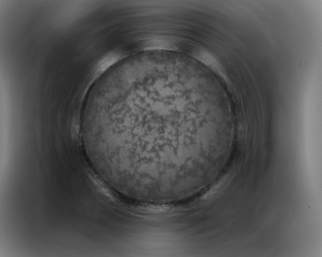 X0000087340882200704201143