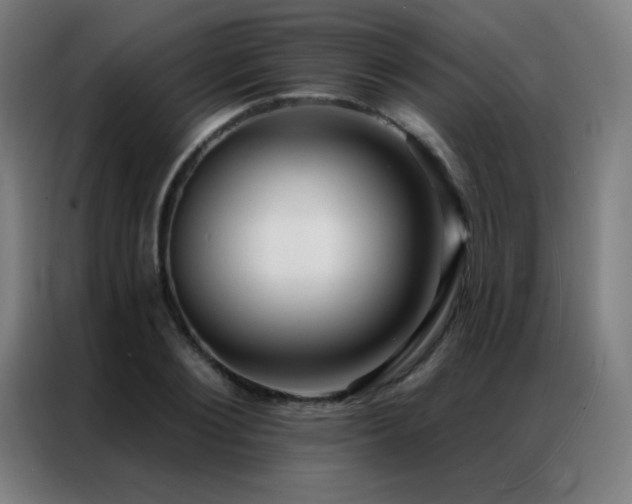 X0000087340884200704201143