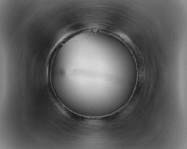 X0000087340886200704201143
