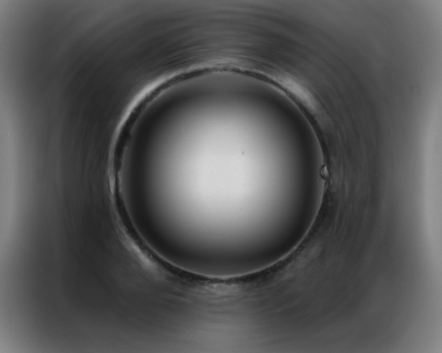 X0000087340888200704201143