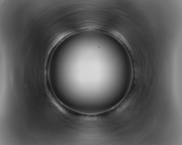 X0000087340890200704201143
