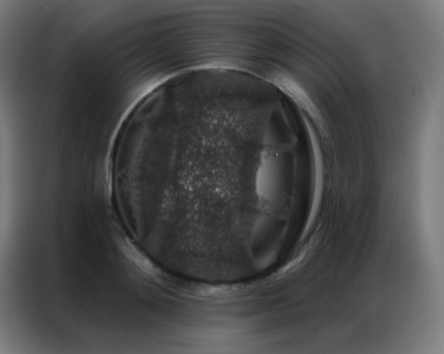 X0000087340892200704201143
