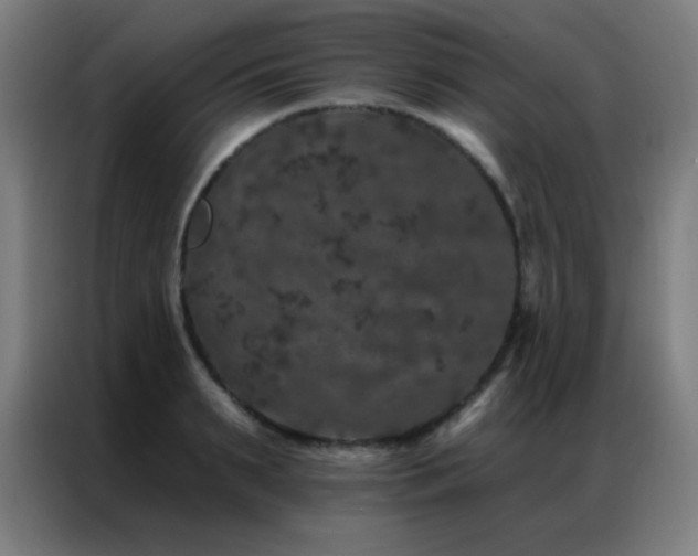 X0000087340895200704201143