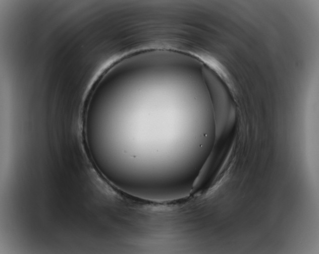 X0000087340896200704201143