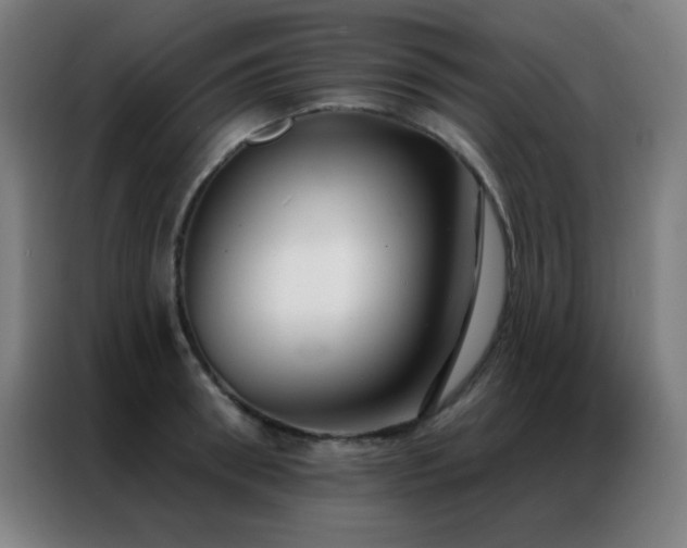 X0000087340898200704201143