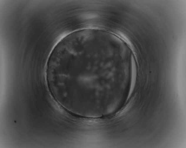 X0000087340899200704201143