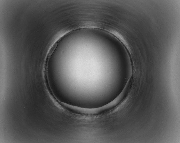 X0000087340901200704201143