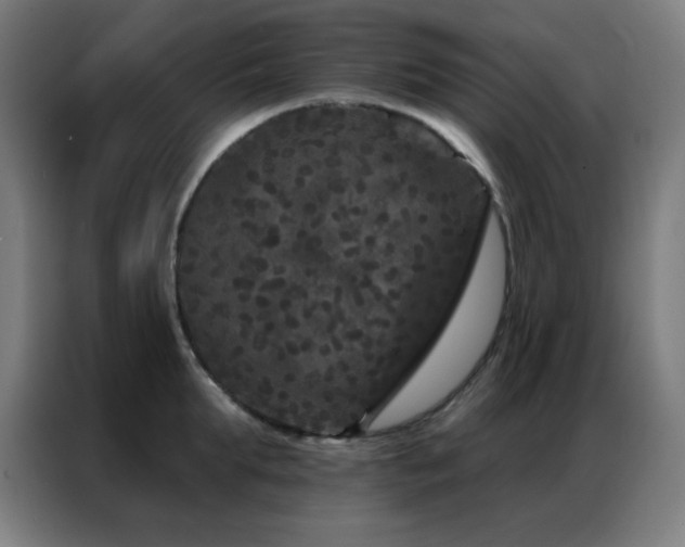 X0000087340903200704201143