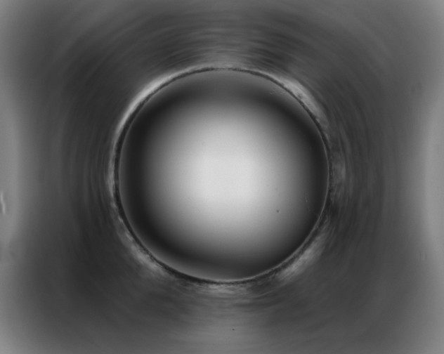 X0000087340904200704201143