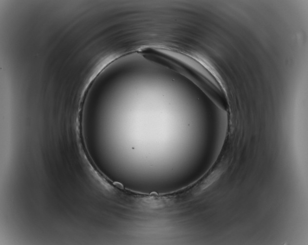 X0000087340906200704201143