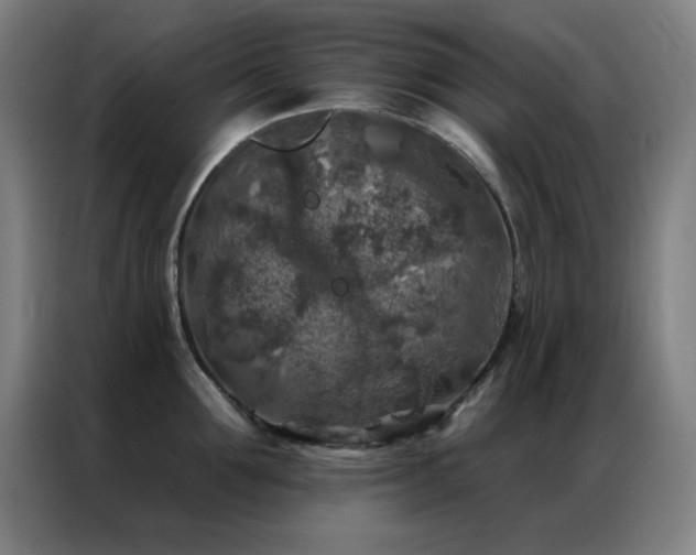 X0000087340907200704201143