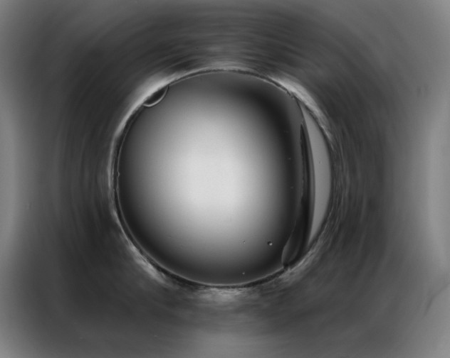 X0000087340910200704201143