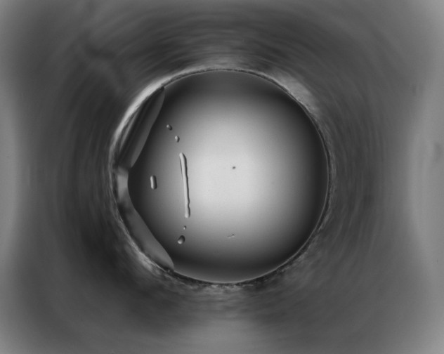 X0000087340912200704201143