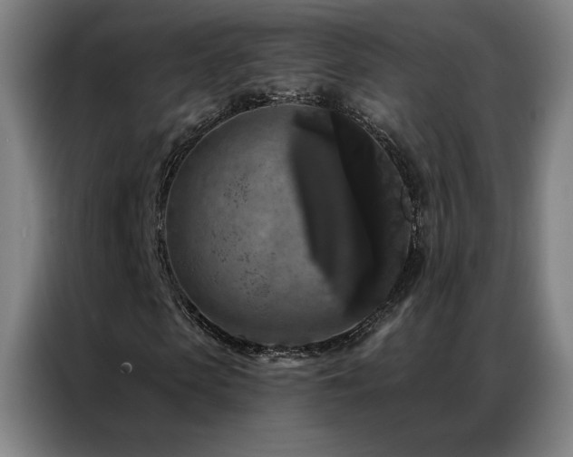 X0000087340913200704201142