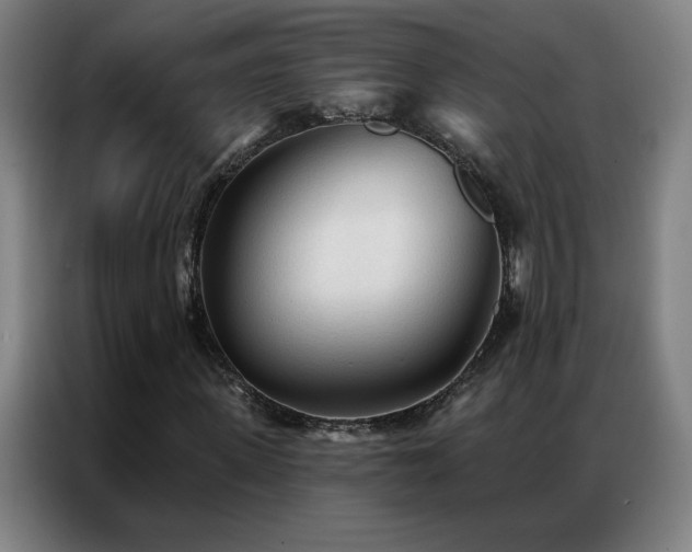 X0000087340915200704201143