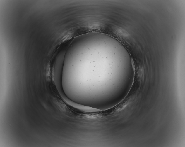 X0000087340916200704201143