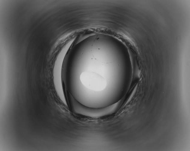 X0000087340920200704201143