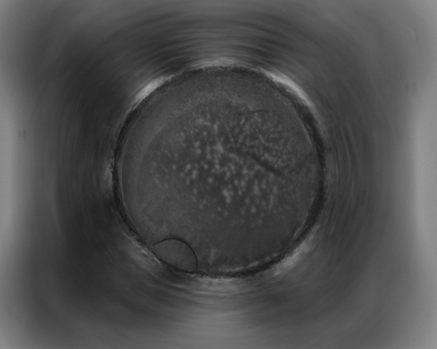 X0000087340921200704201143
