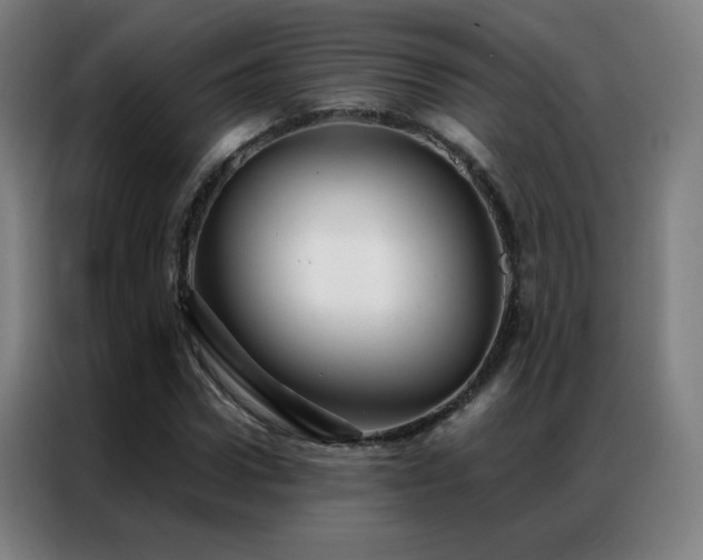 X0000087340922200704201143