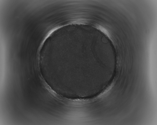 X0000087340923200704201143