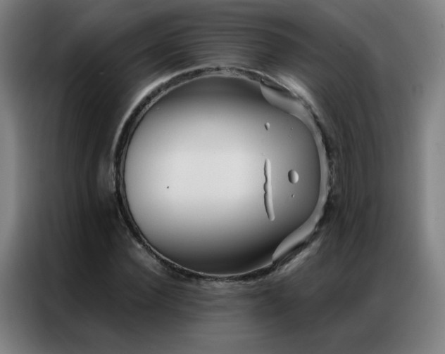 X0000087340924200704201143