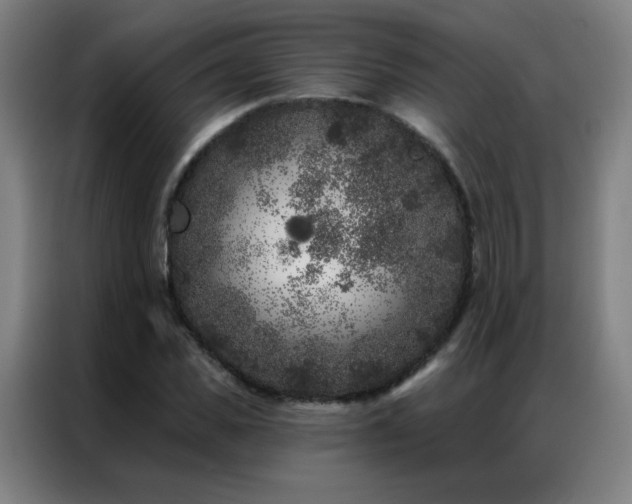 X0000087340925200704201143