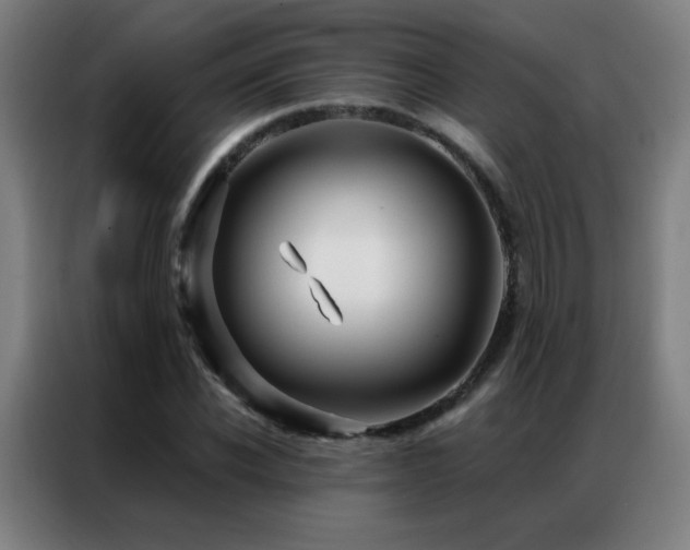 X0000087340926200704201143