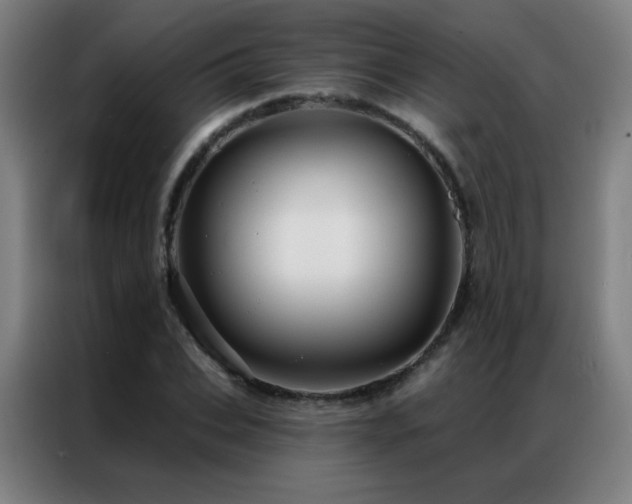 X0000087340927200704201143