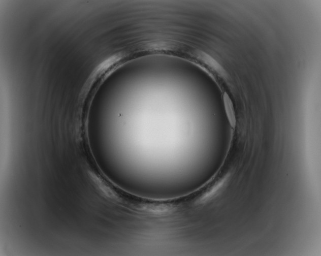 X0000087340930200704201143