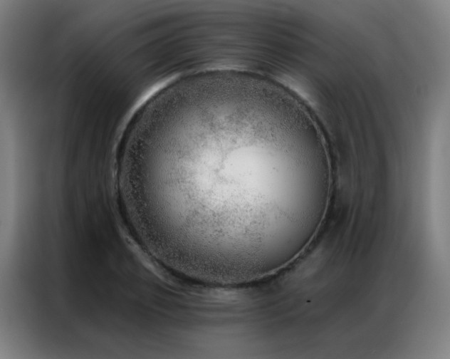 X0000087340933200704201143