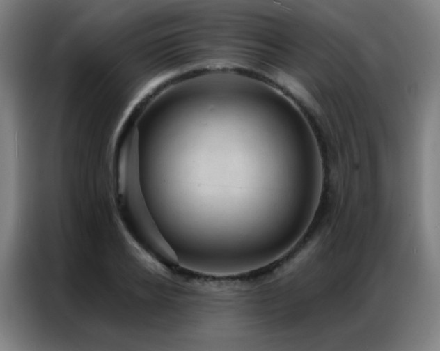 X0000087340934200704201143