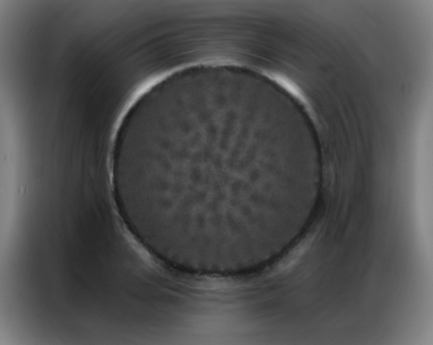 X0000087340935200704201143