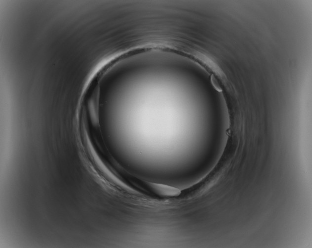 X0000087340936200704201143