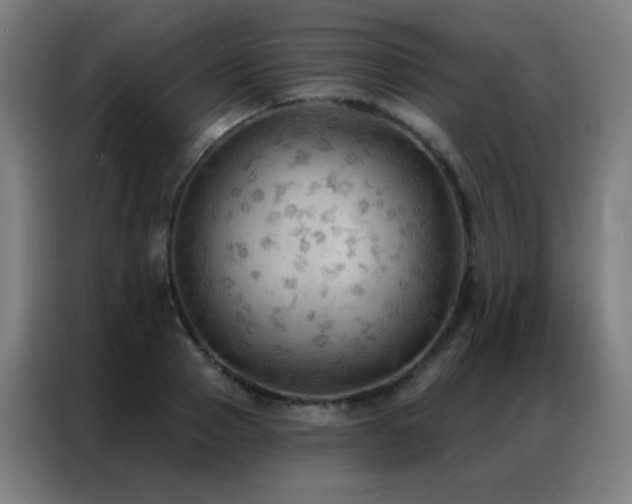 X0000087340937200704201143