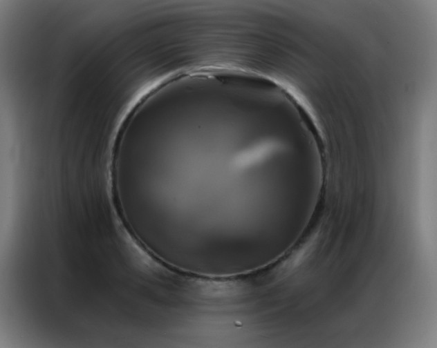 X0000087340941200704201143