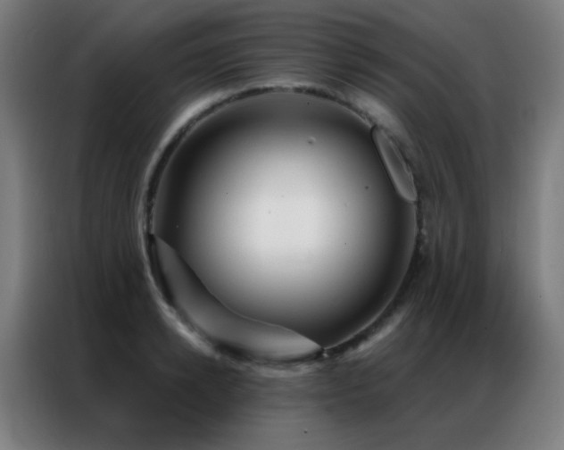 X0000087340942200704201143