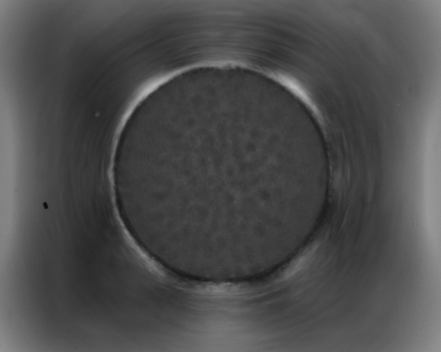 X0000087340943200704201143