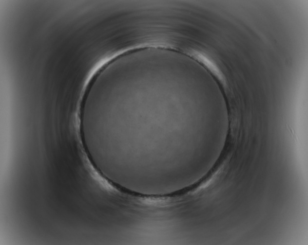 X0000087340944200704201143