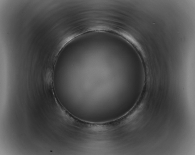 X0000087340945200704201143