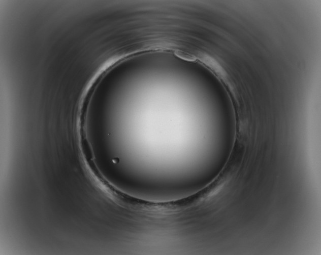 X0000087340947200704201143